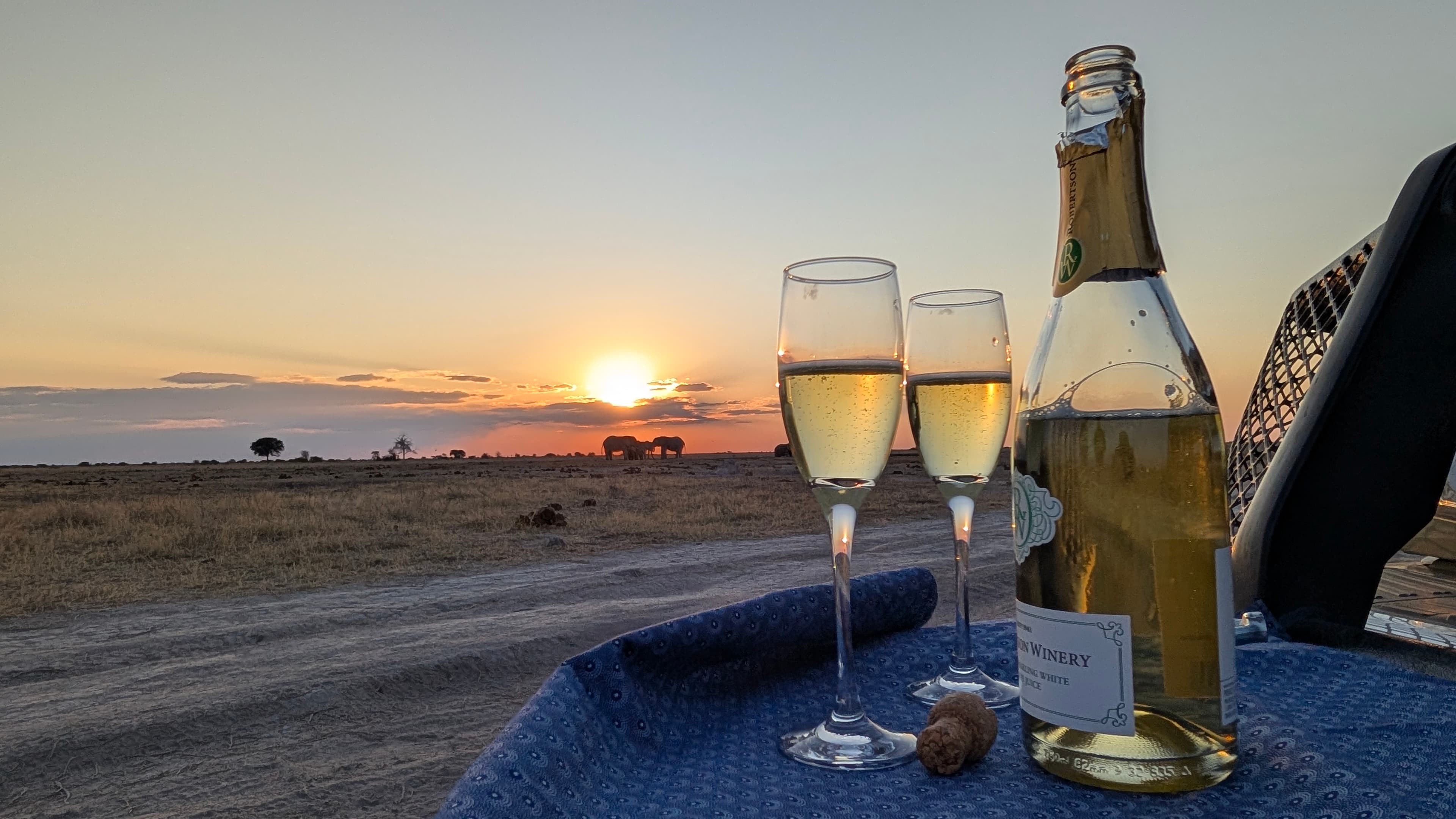 Private mobile camping safari in the Botswana wilderness